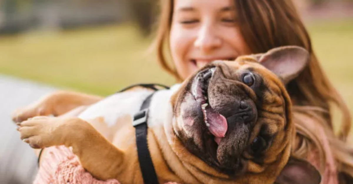 Come Fare un Piano di Eliminazione per Scoprire le Cause delle Allergie Alimentari del Cane