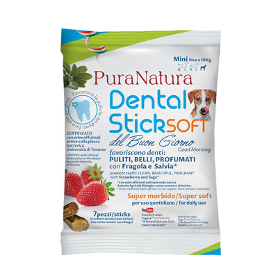 GOOD MORNING DENTAL STICK - Multipack of 12