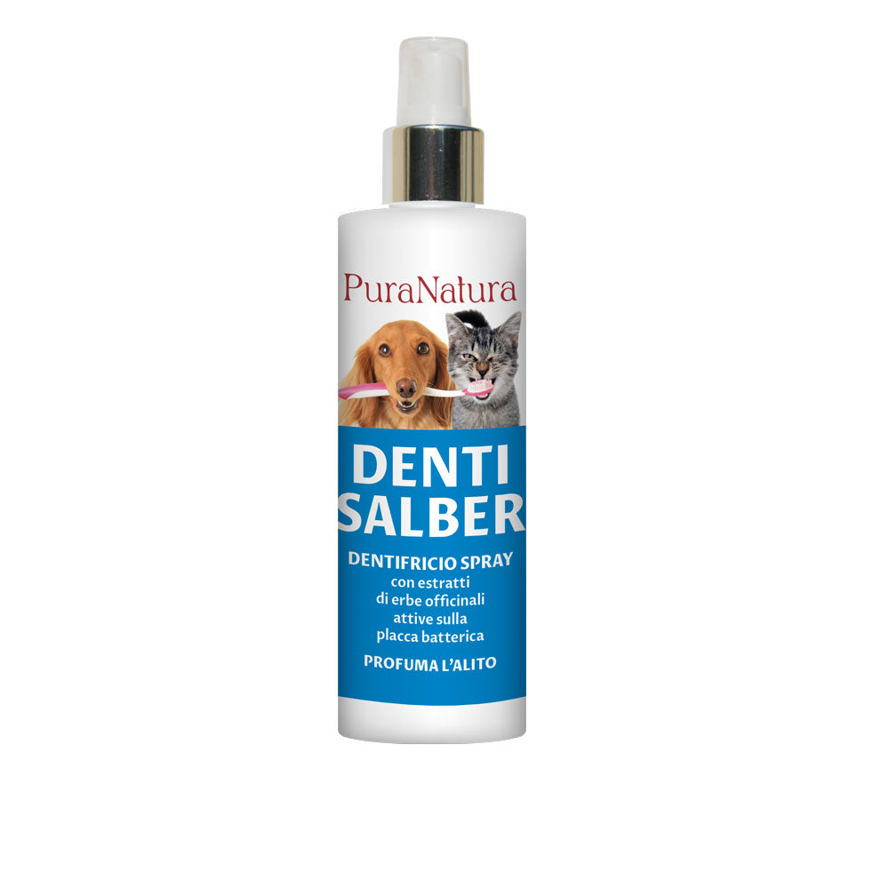 DENTI SALBER - CANE E GATTO